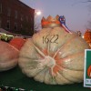1622 pounds