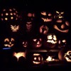 Another Pumpkins Shot at Jim's