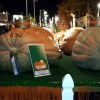 Giant Pumpkins